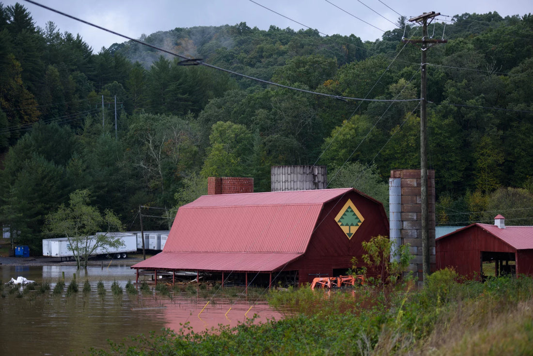 Assisting Farmers Facing Climate Disaster: A COSAP Co-op Fundraiser for RAFI USA